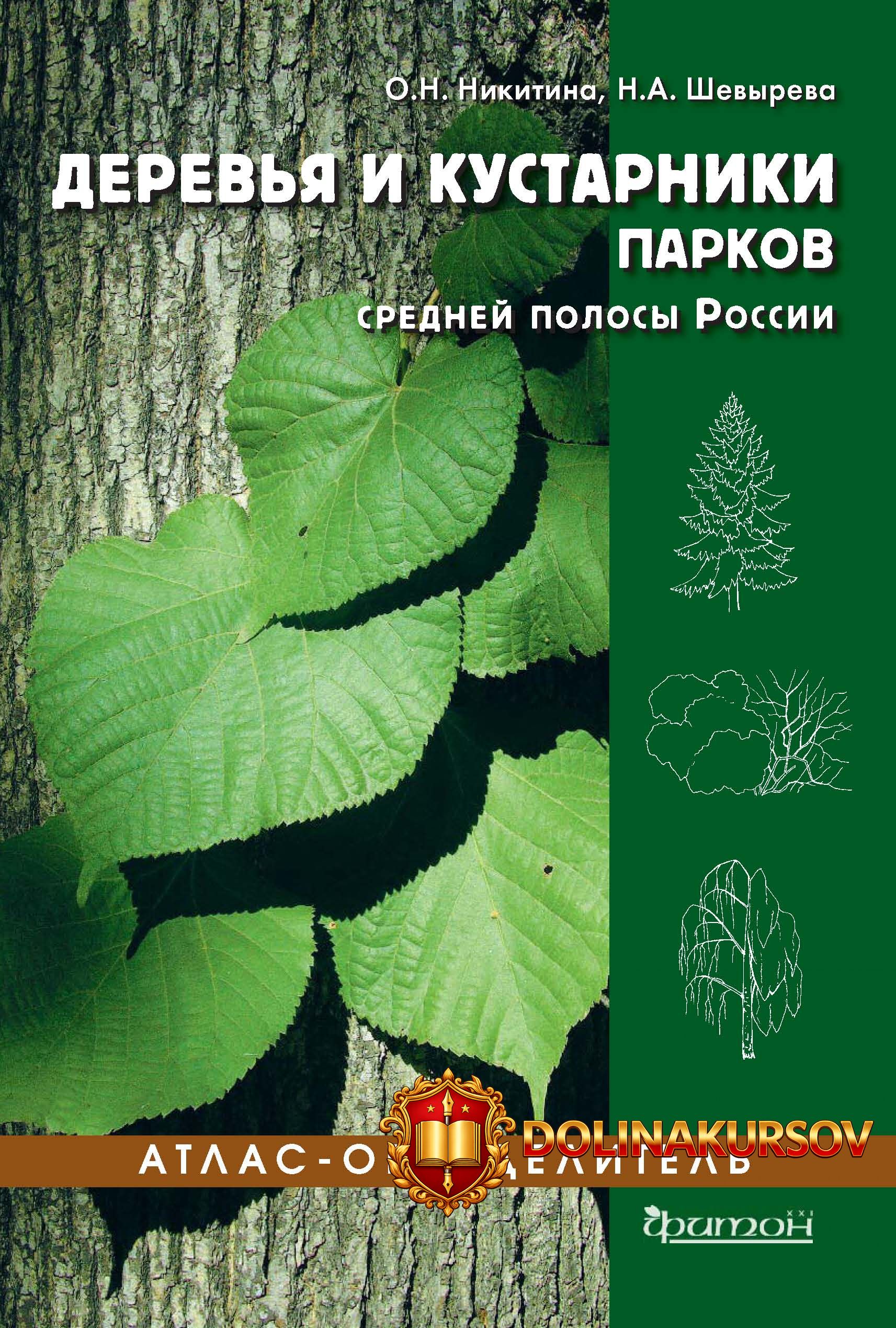 derevja-i-kustarniki-parkov-srednej-polosy-rossii-natalja-shevyreva-olga-nikitina.465649.jpg