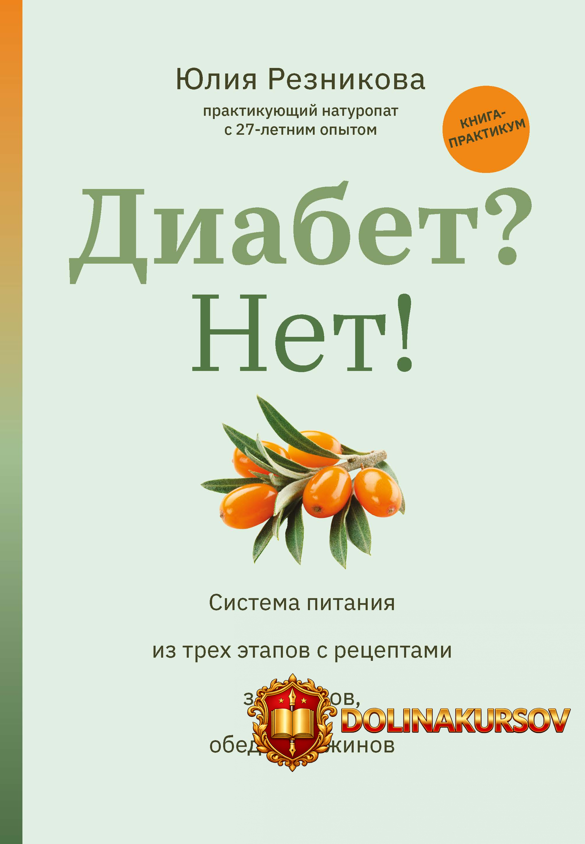 diabet-net-kniga-praktikum-sistema-pitanija-iz-trex-ehtapov-s-receptami-julija-reznikova.467202.jpg
