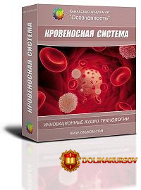 krovenosnaja-sistema-programma-dlja-zhenschin-revenko-2016.23007.jpg