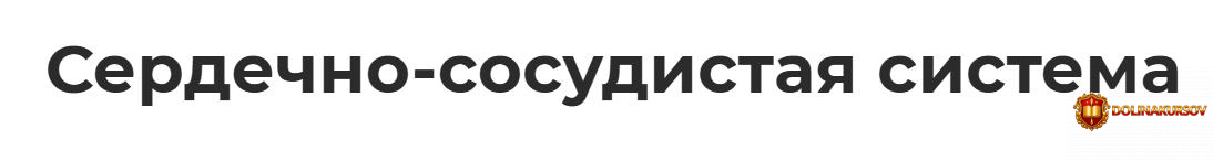 serdechno-sosudistaja-sistema-sergej-molotkov.467067.jpg